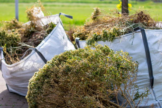 Best Yard Cleanup Services  in Wheat Ridge, CO